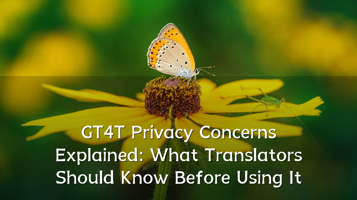 GT4T Privacy Concerns Explained: What Translators Should Know Before Using It
