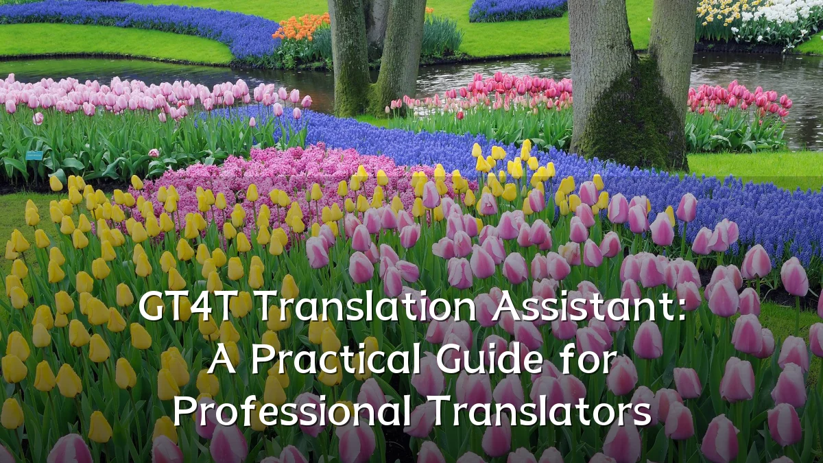 GT4T Translation Assistant: A Practical Guide for Professional Translators