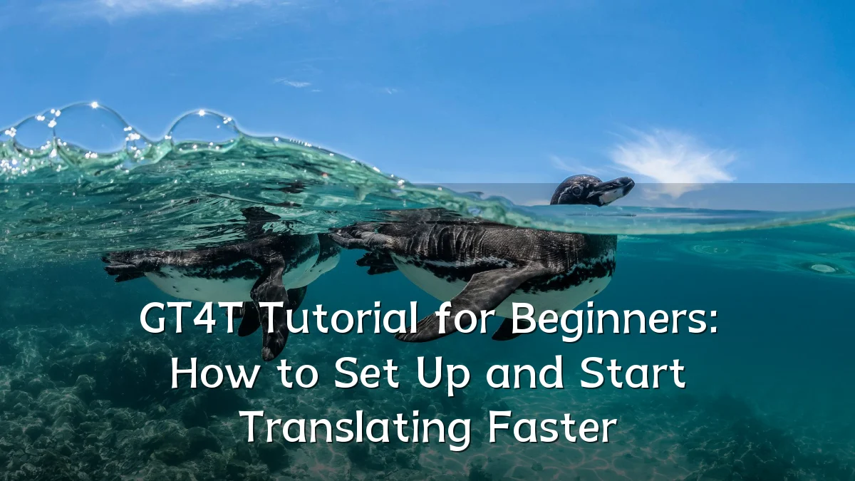 GT4T Tutorial for Beginners: How to Set Up and Start Translating Faster