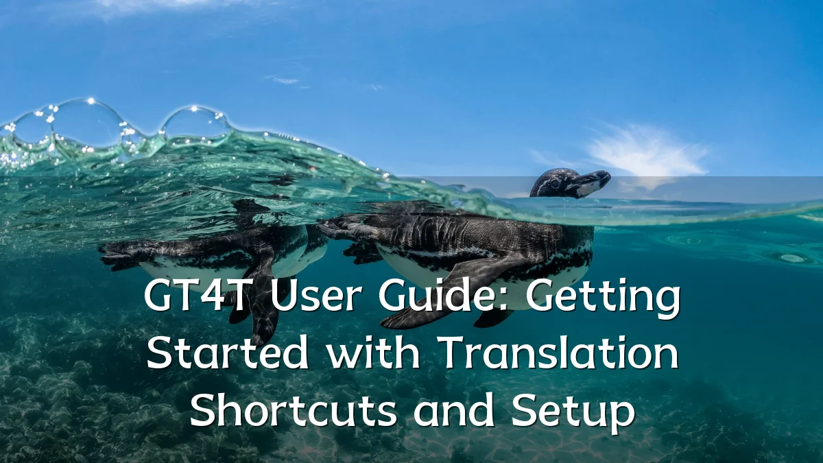 GT4T User Guide: Getting Started with Translation Shortcuts and Setup