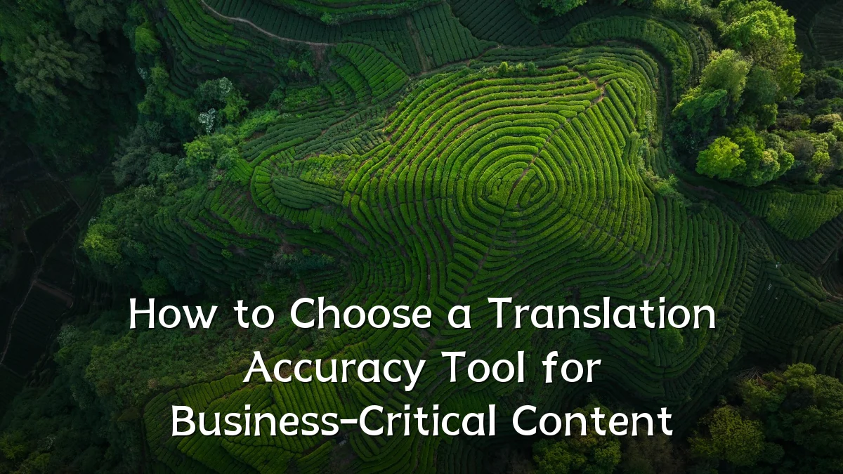 How to Choose a Translation Accuracy Tool for Business-Critical Content