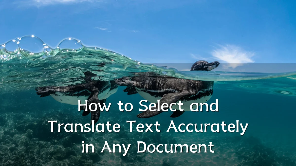 How to Select and Translate Text Accurately in Any Document