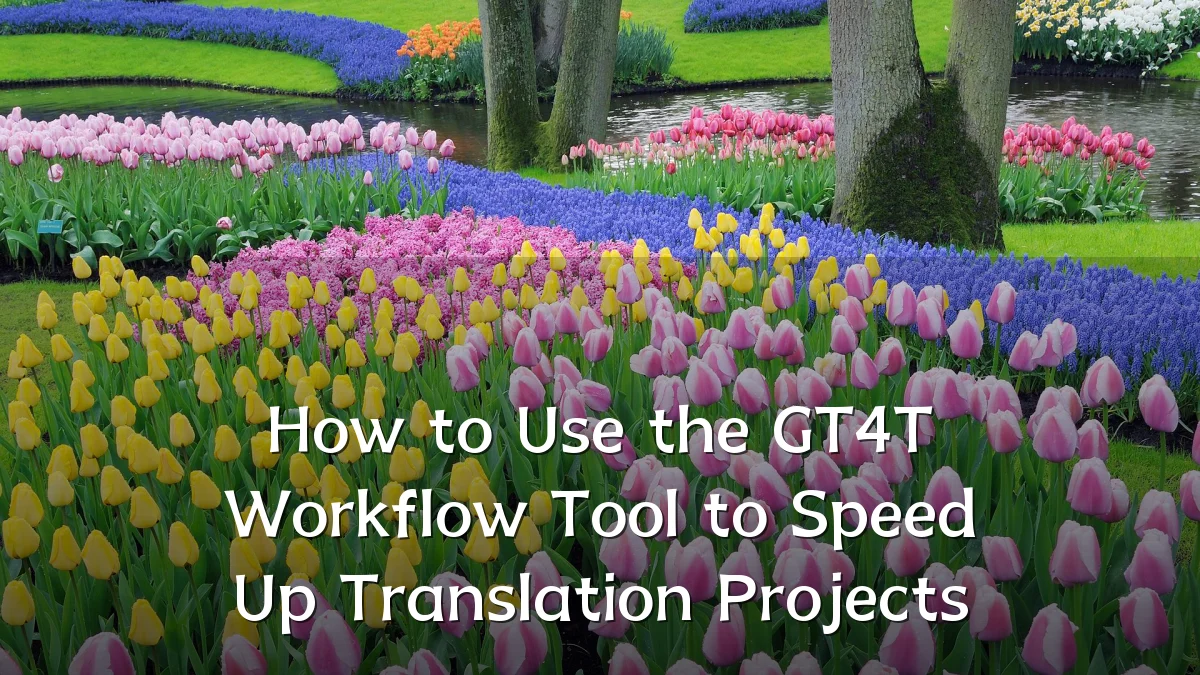 How to Use the GT4T Workflow Tool to Speed Up Translation Projects