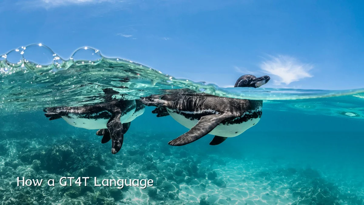 How a GT4T Language