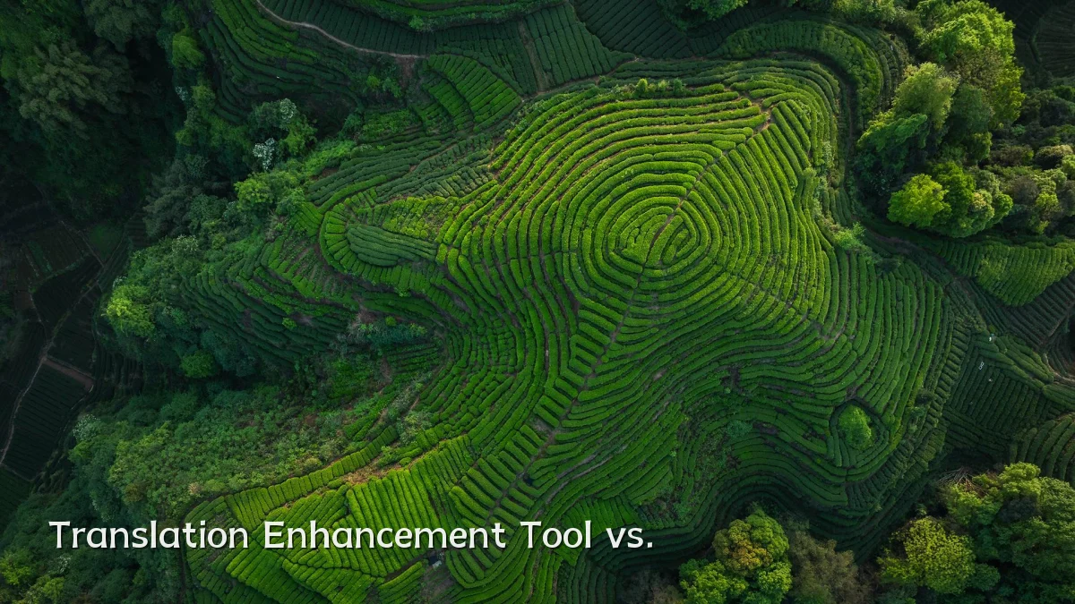 Translation Enhancement Tool vs.