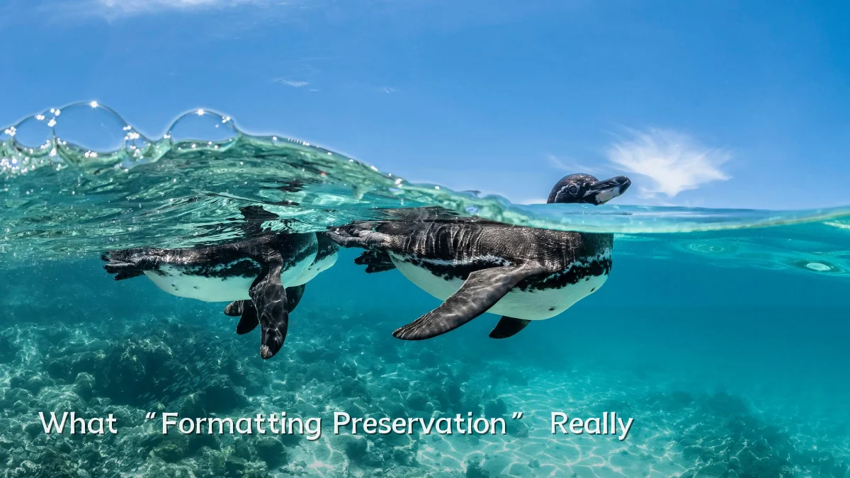 What “Formatting Preservation” Really