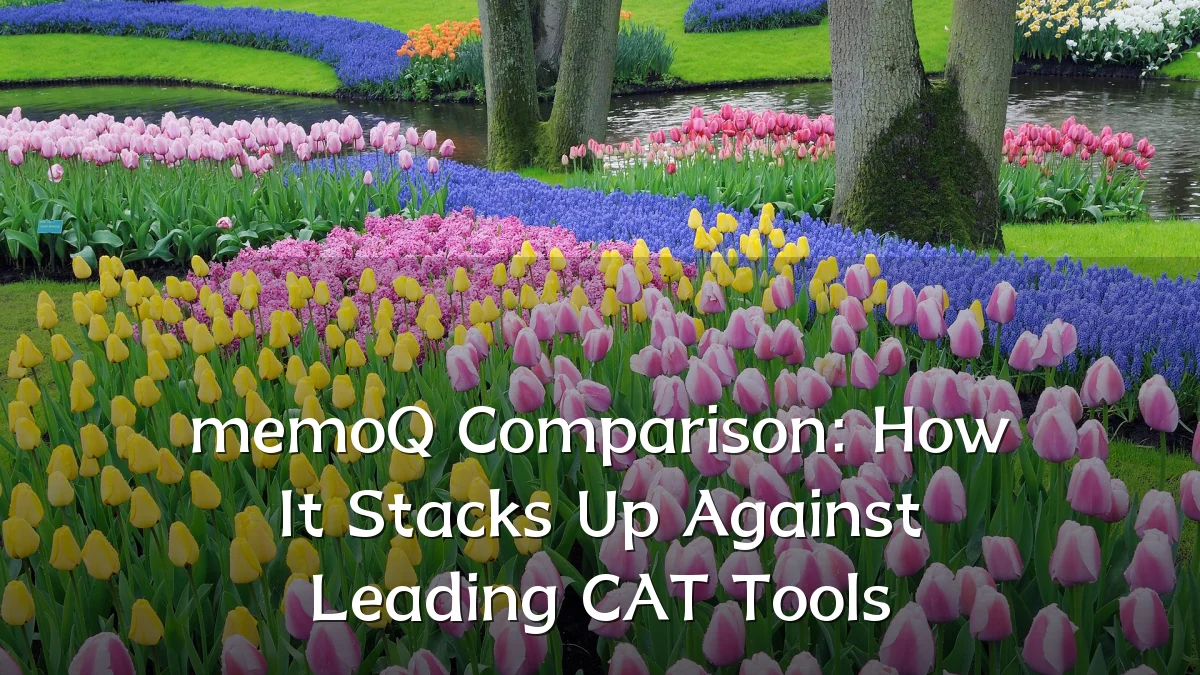 memoQ Comparison: How It Stacks Up Against Leading CAT Tools