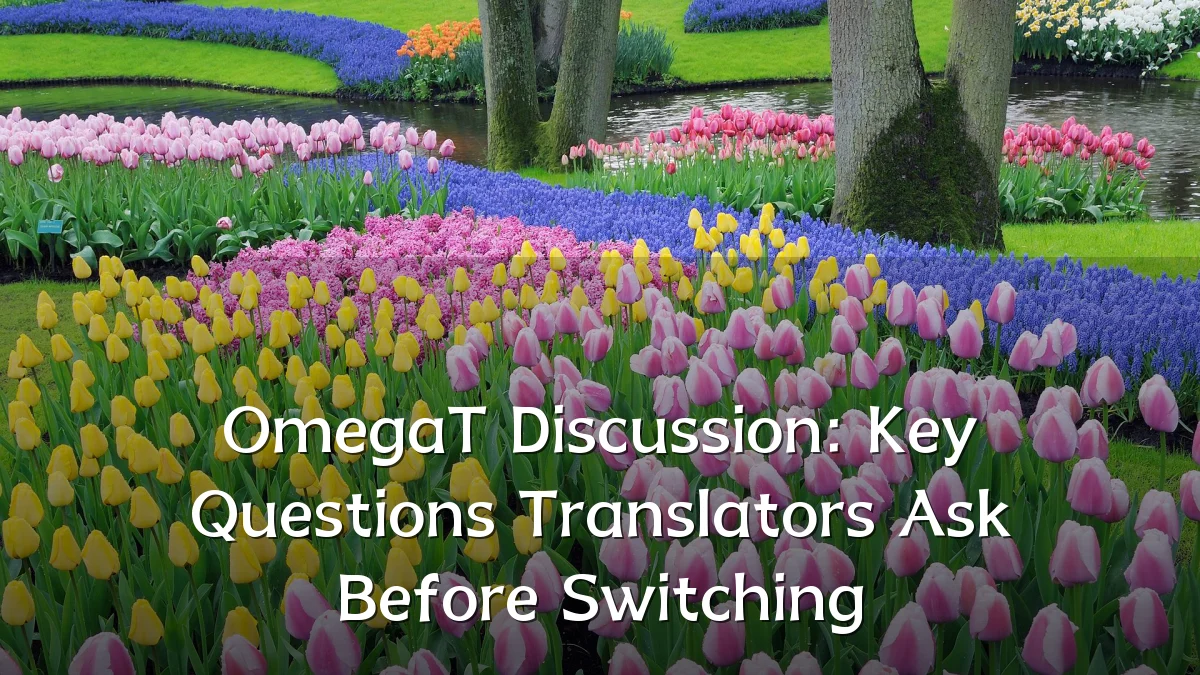OmegaT Discussion: Key Questions Translators Ask Before Switching