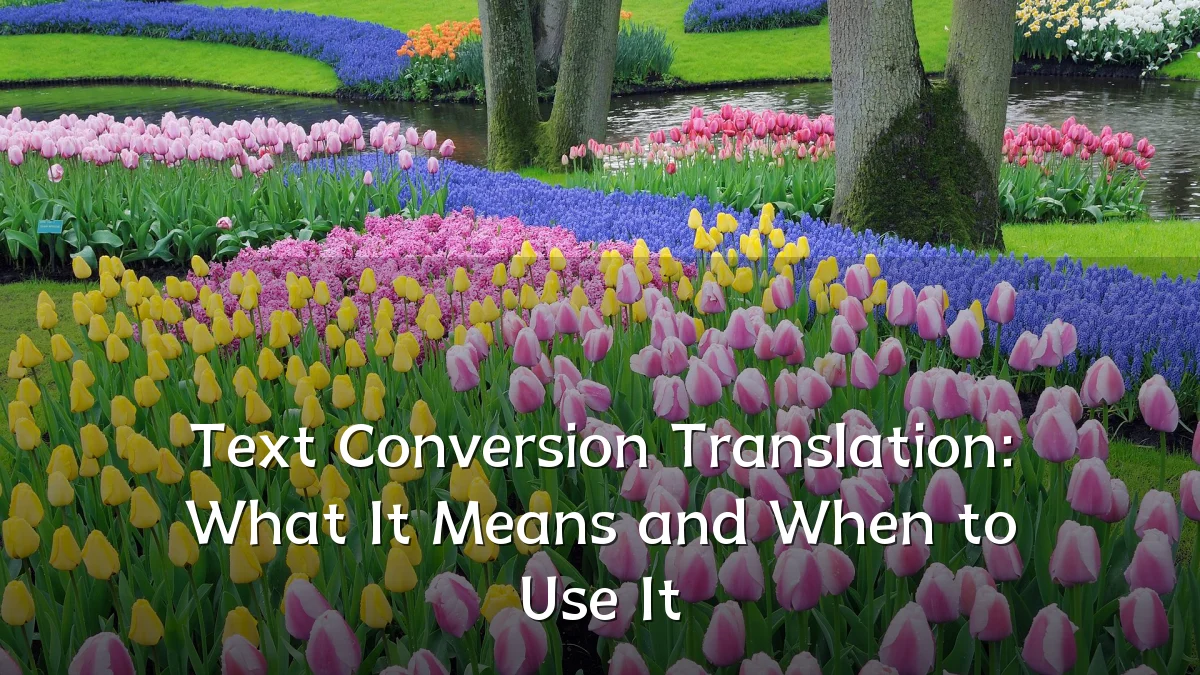 Text Conversion Translation: What It Means and When to Use It