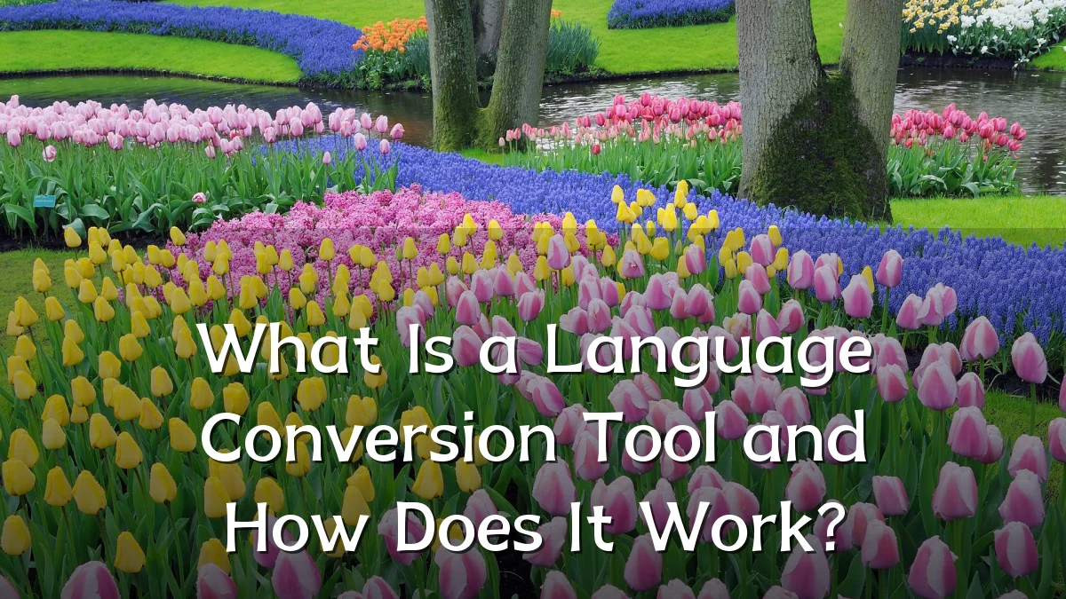 What Is a Language Conversion Tool and How Does It Work?