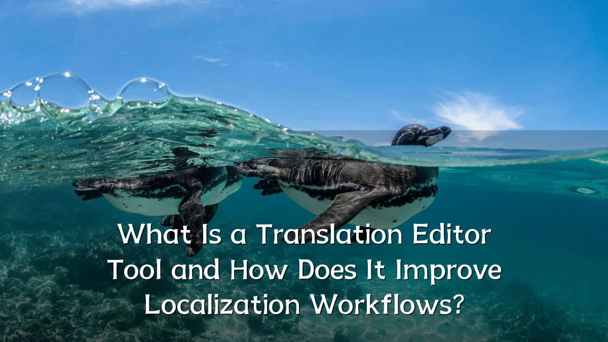 What Is a Translation Editor Tool and How Does It Improve Localization Workflows?