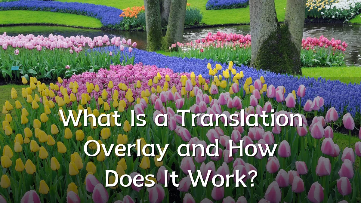 What Is a Translation Overlay and How Does It Work?