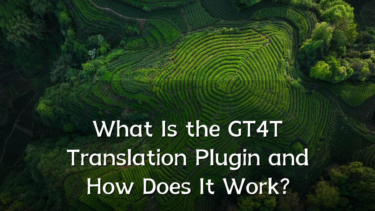 What Is the GT4T Translation Plugin and How Does It Work?