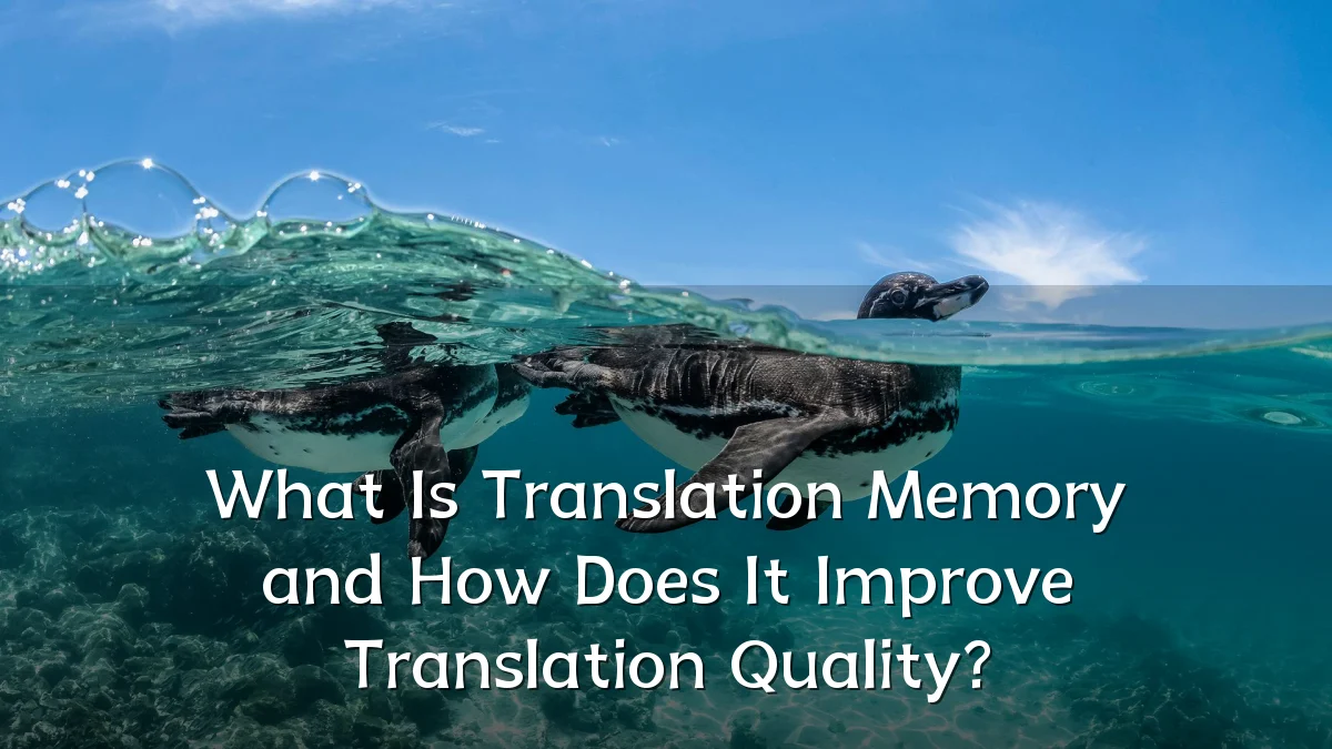 What Is Translation Memory and How Does It Improve Translation Quality?