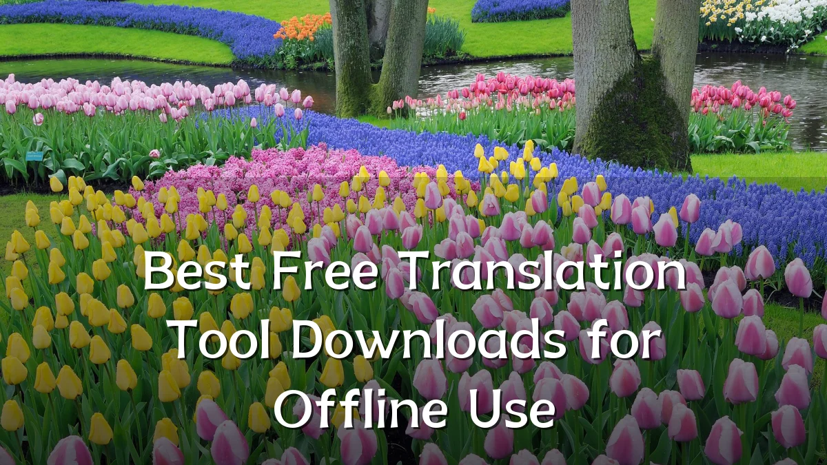 Best Free Translation Tool Downloads for Offline Use