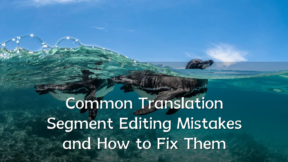 Common Translation Segment Editing Mistakes and How to Fix Them