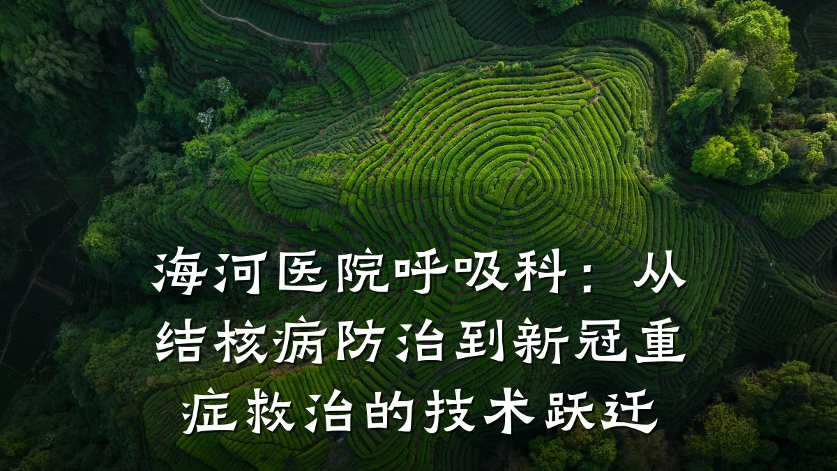 海河医院呼吸科：从结核病防治到新冠重症救治的技术跃迁