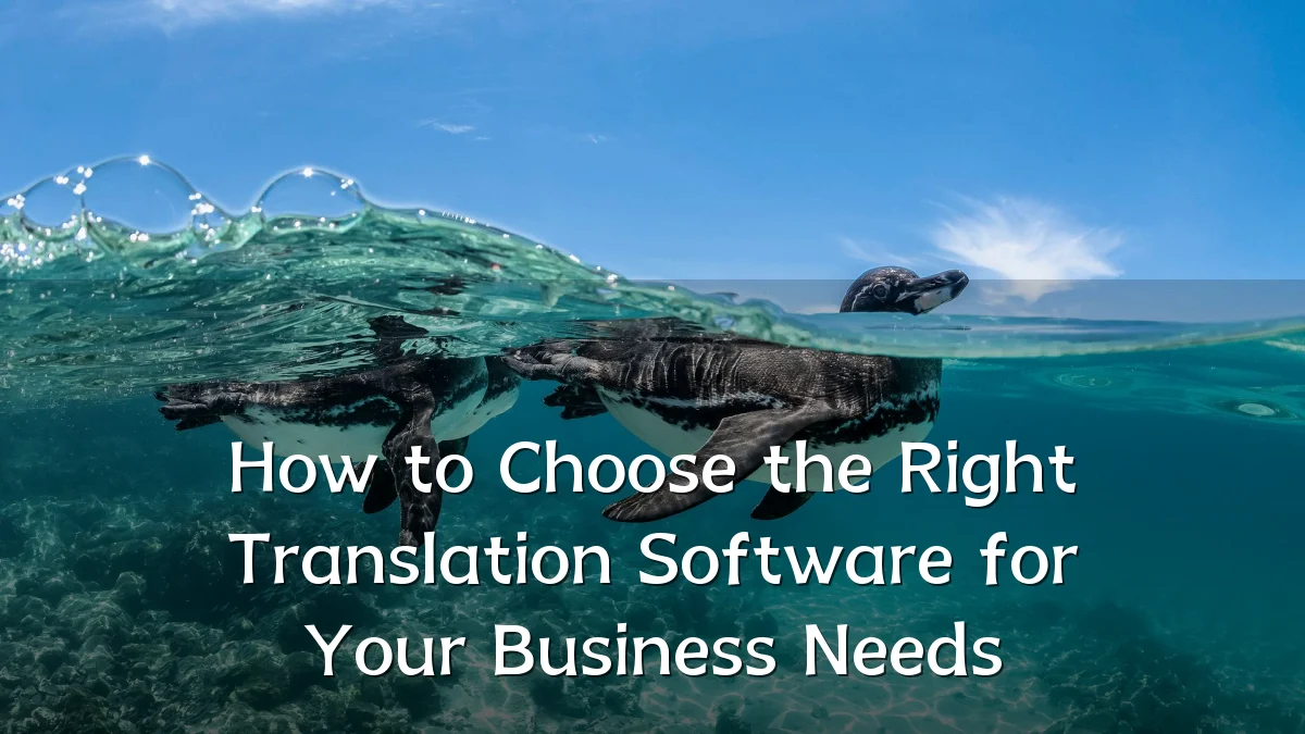 How to Choose the Right Translation Software for Your Business Needs