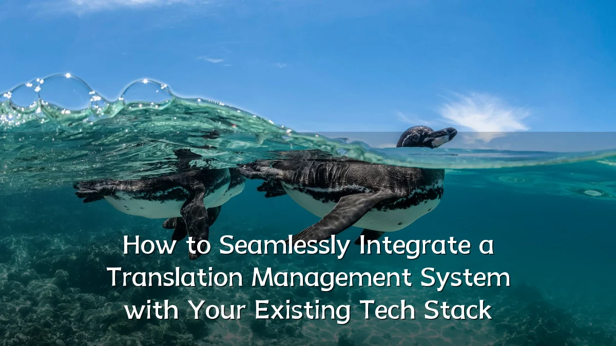 How to Seamlessly Integrate a Translation Management System with Your Existing Tech Stack