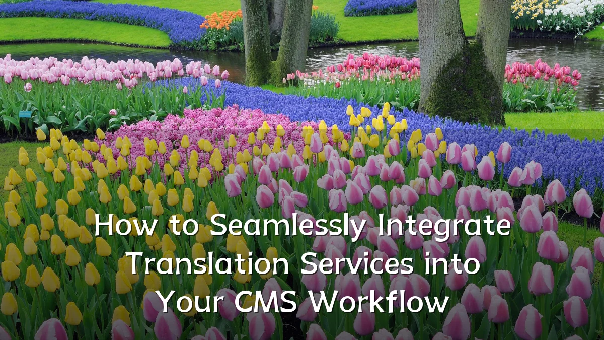 How to Seamlessly Integrate Translation Services into Your CMS Workflow