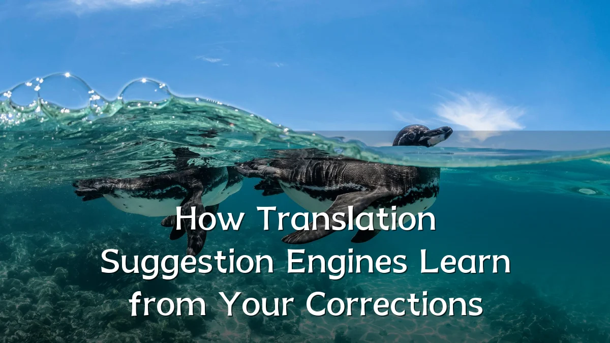 How Translation Suggestion Engines Learn from Your Corrections