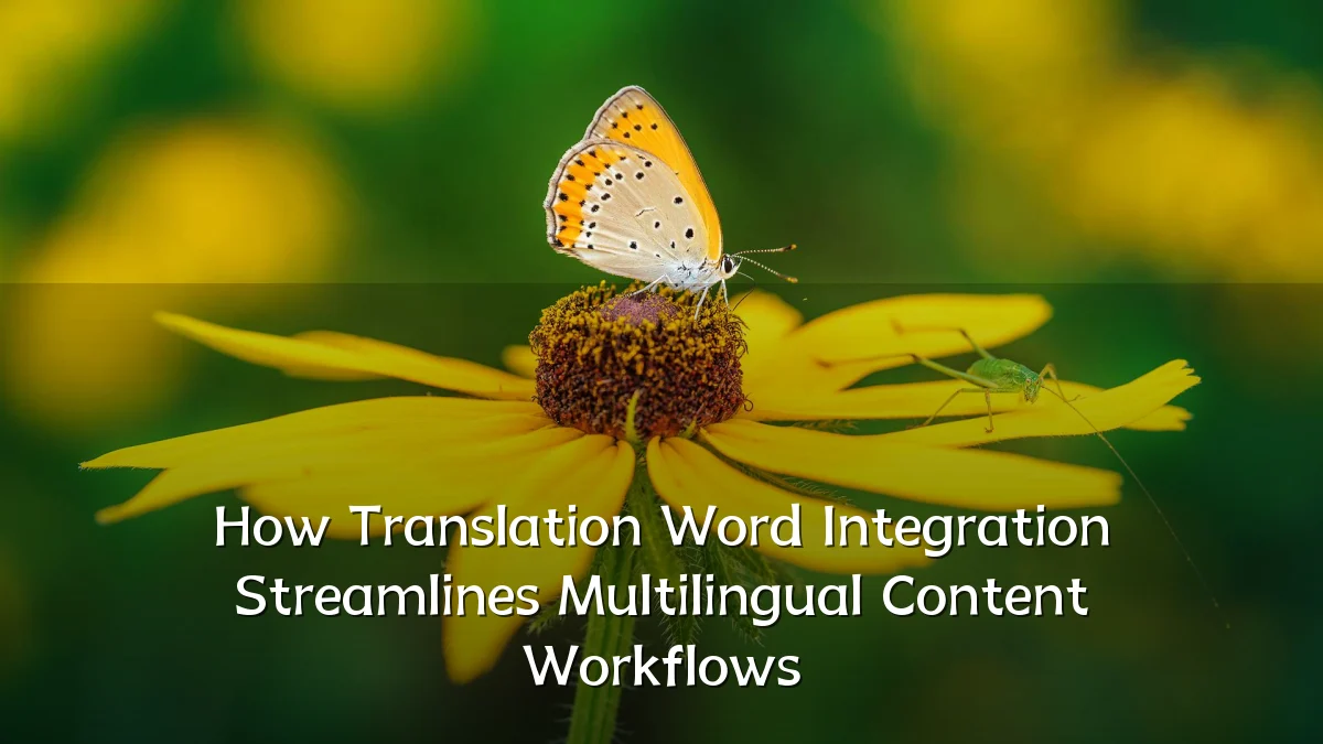 How Translation Word Integration Streamlines Multilingual Content Workflows