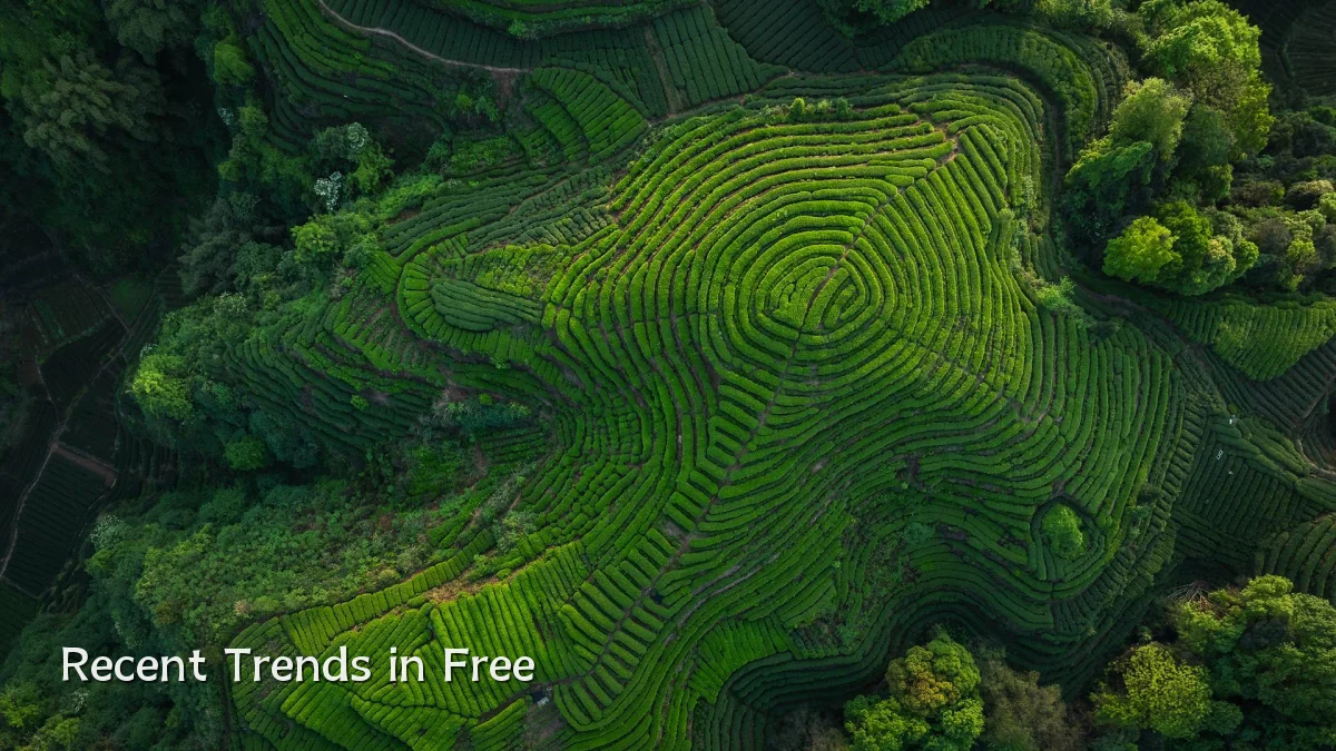 Recent Trends in Free