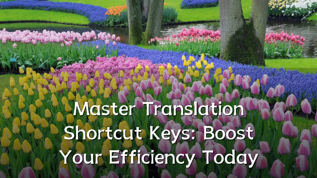 Master Translation Shortcut Keys: Boost Your Efficiency Today