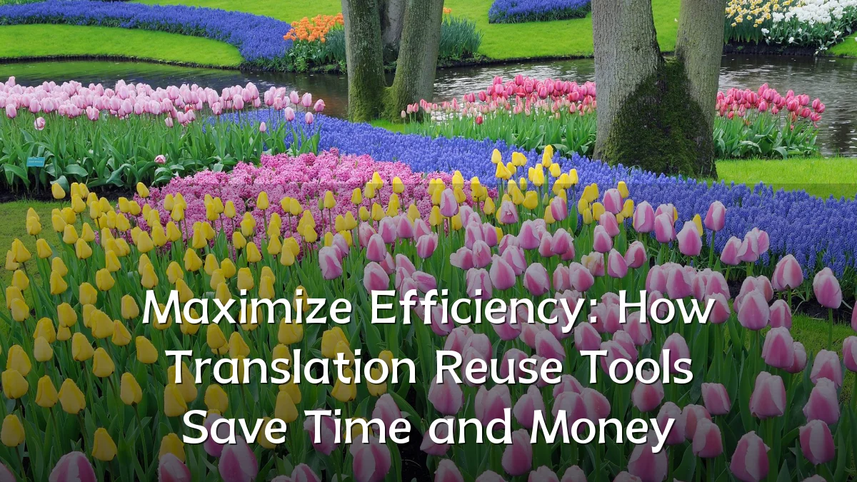 Maximize Efficiency: How Translation Reuse Tools Save Time and Money