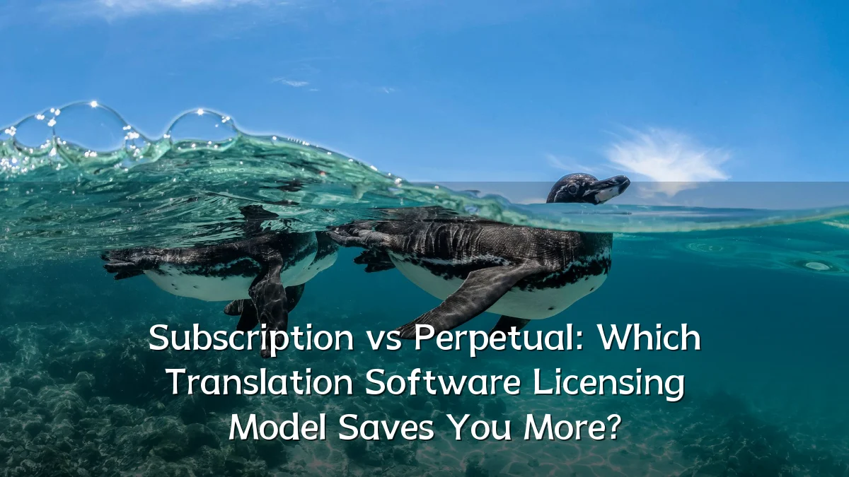 Subscription vs Perpetual: Which Translation Software Licensing Model Saves You More?