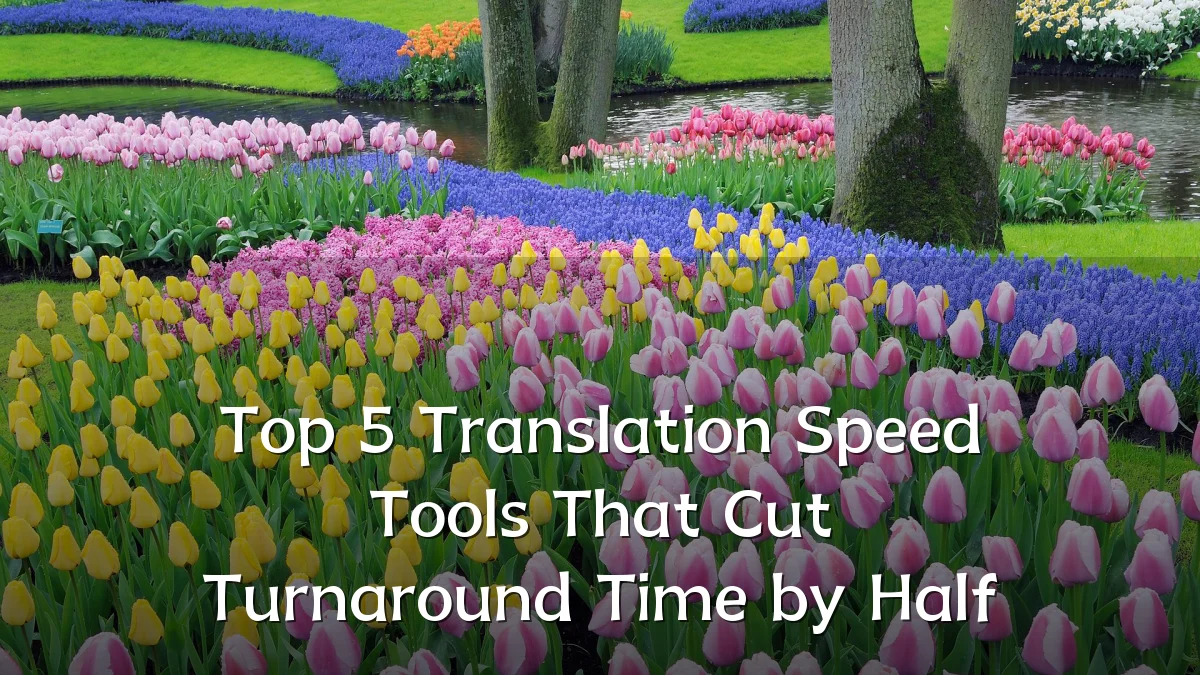 Top 5 Translation Speed Tools That Cut Turnaround Time by Half