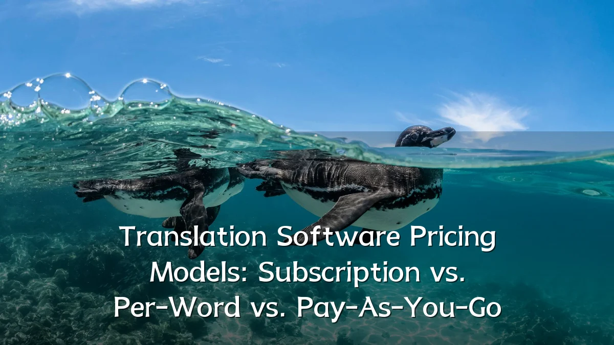 Translation Software Pricing Models: Subscription vs. Per-Word vs. Pay-As-You-Go