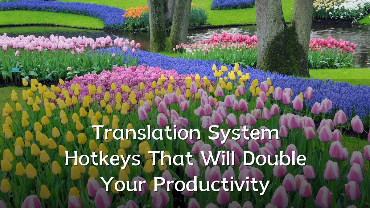 Translation System Hotkeys That Will Double Your Productivity