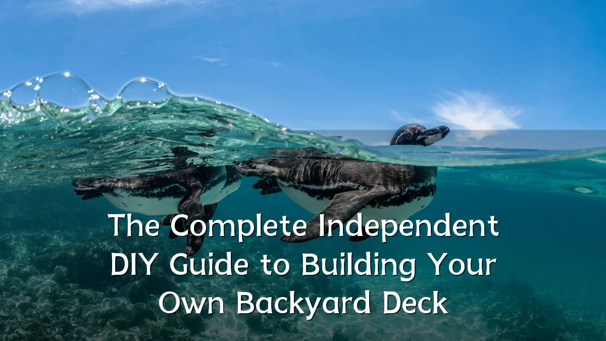 The Complete Independent DIY Guide to Building Your Own Backyard Deck