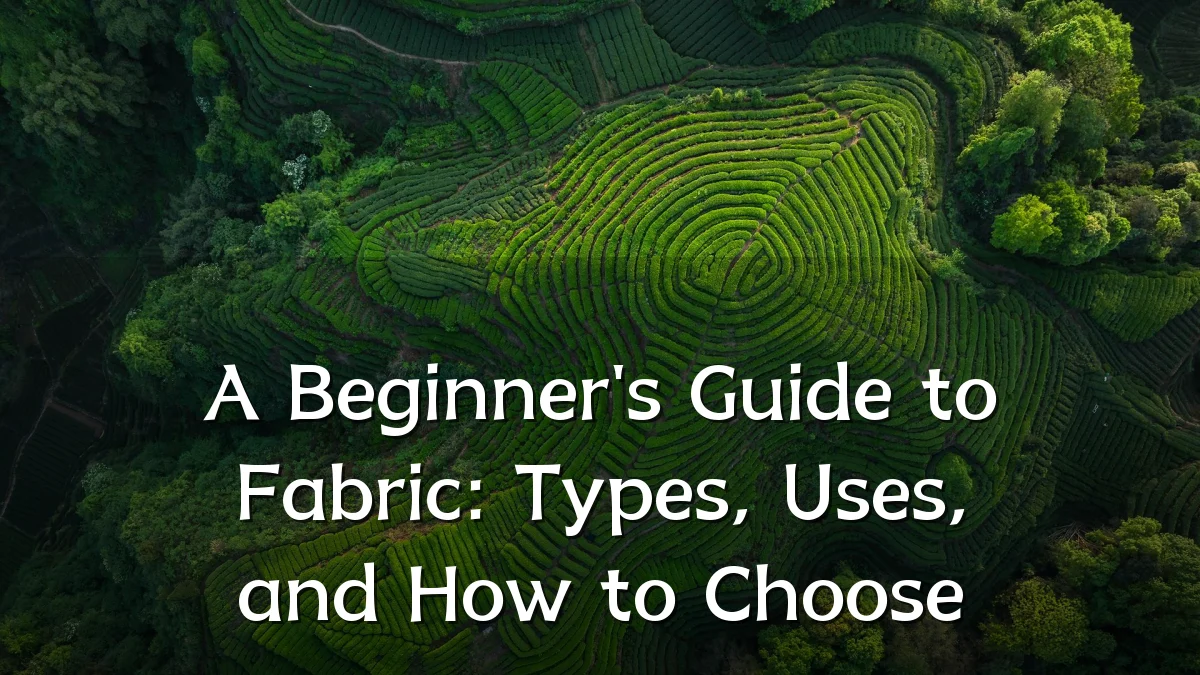 A Beginner's Guide to Fabric: Types, Uses, and How to Choose