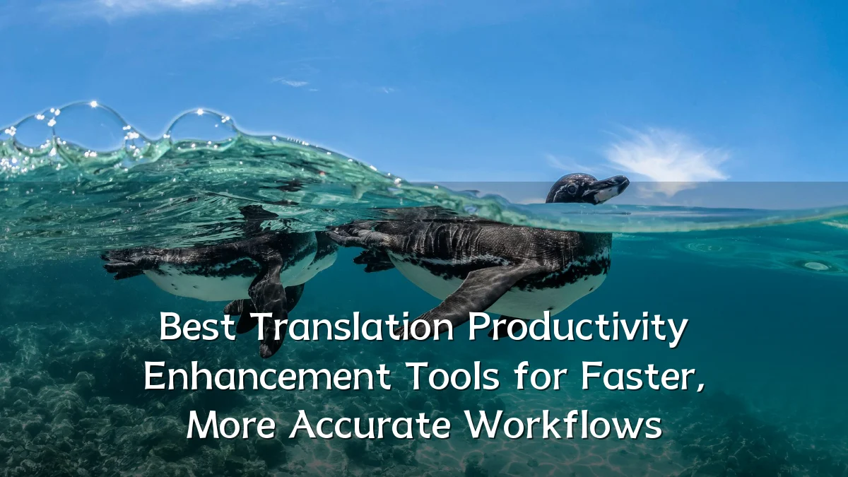Best Translation Productivity Enhancement Tools for Faster, More Accurate Workflows