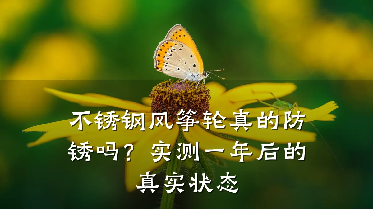 不锈钢风筝轮真的防锈吗？实测一年后的真实状态