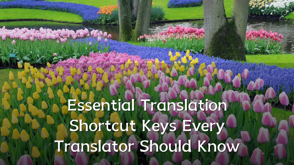 Essential Translation Shortcut Keys Every Translator Should Know