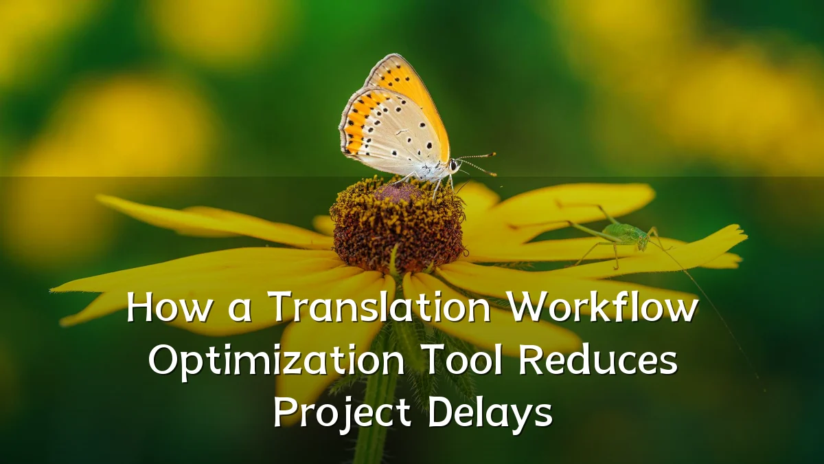 How a Translation Workflow Optimization Tool Reduces Project Delays