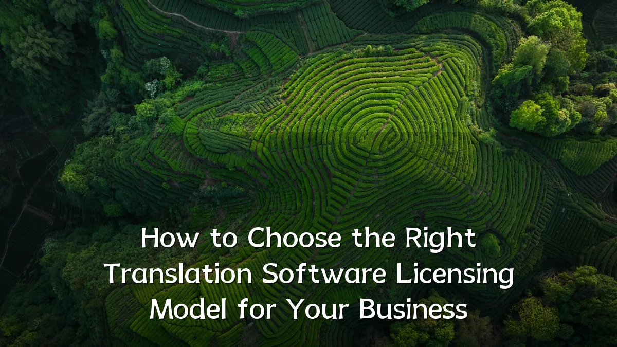 How to Choose the Right Translation Software Licensing Model for Your Business