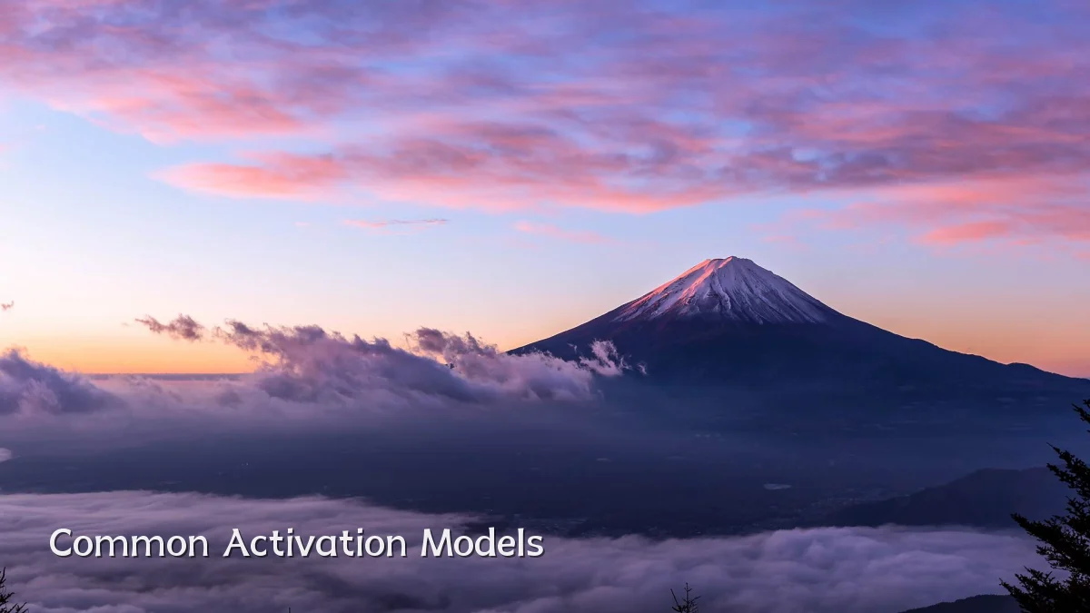 Common Activation Models
