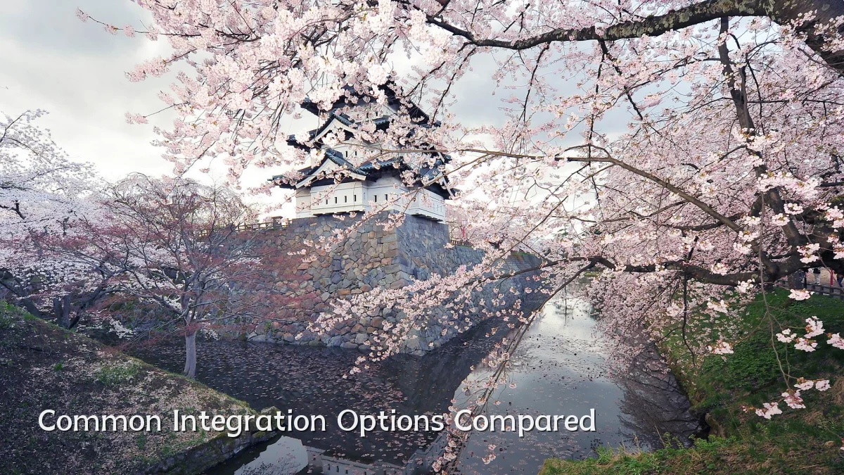 Common Integration Options Compared