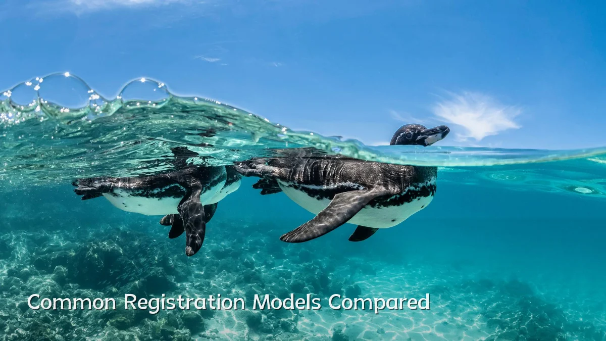 Common Registration Models Compared