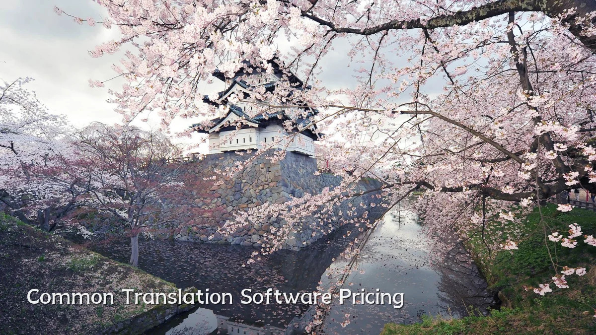 Common Translation Software Pricing