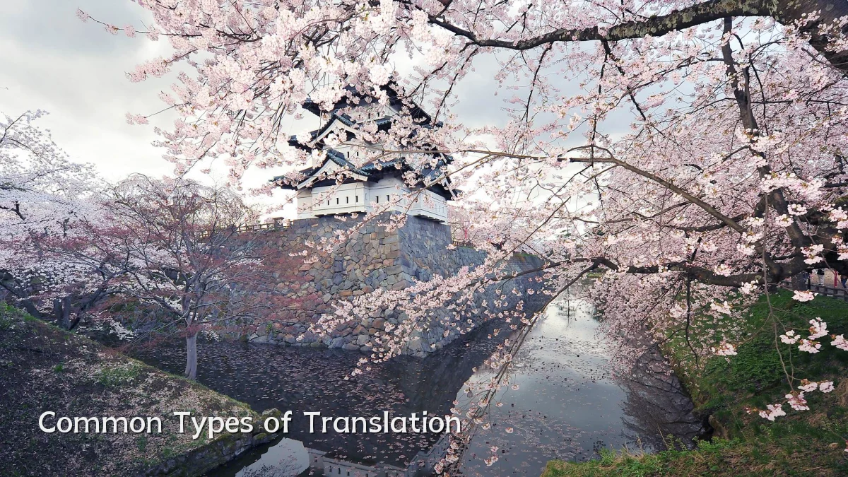 Common Types of Translation