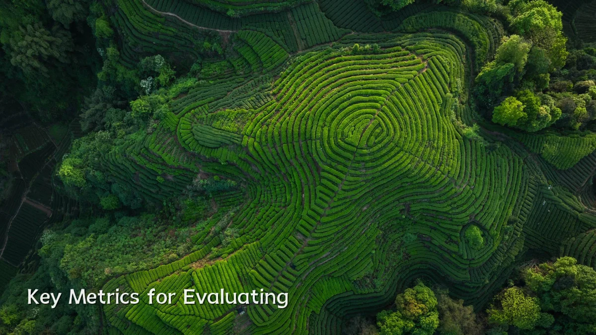 Key Metrics for Evaluating