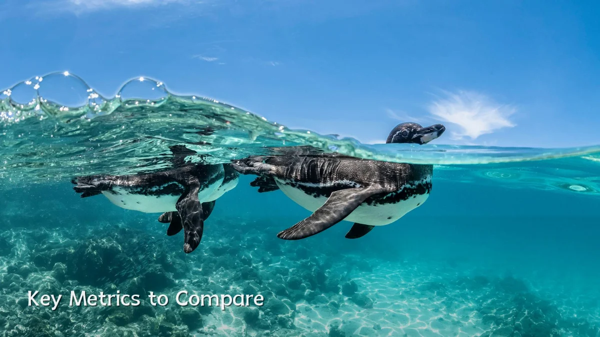 Key Metrics to Compare
