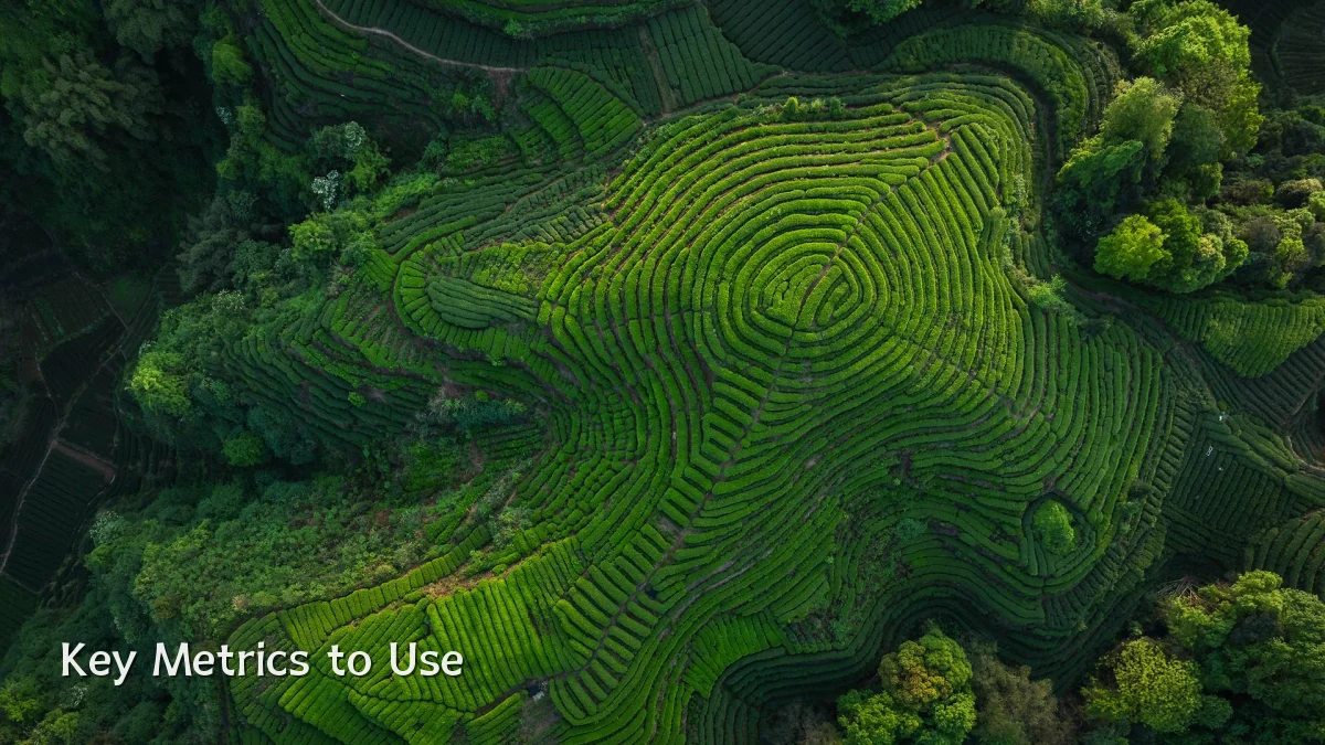 Key Metrics to Use