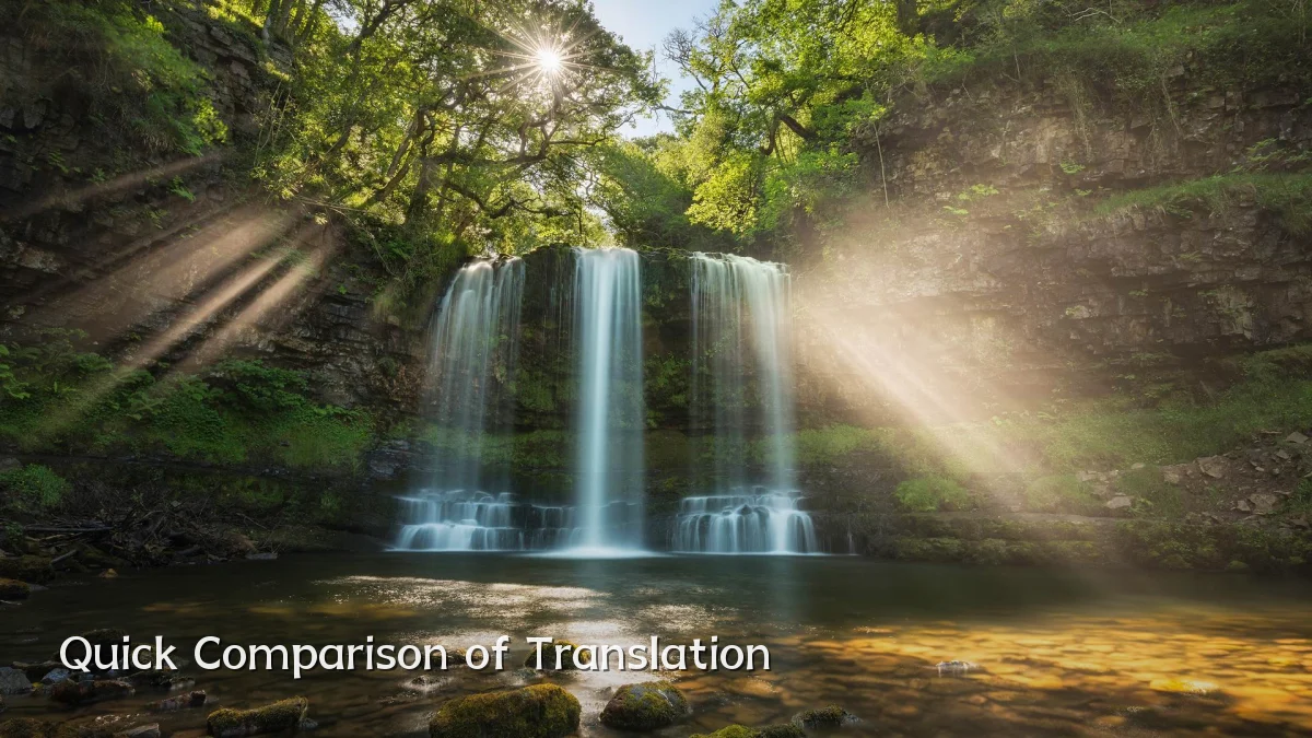 Quick Comparison of Translation