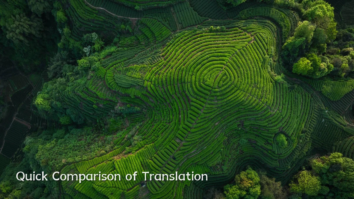 Quick Comparison of Translation